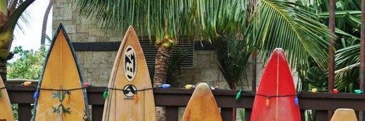carlijnvis's profile banner image