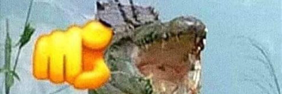Gu1g4mesmo's profile banner image