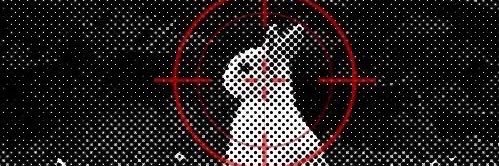 belle ᥫ᭡ banner