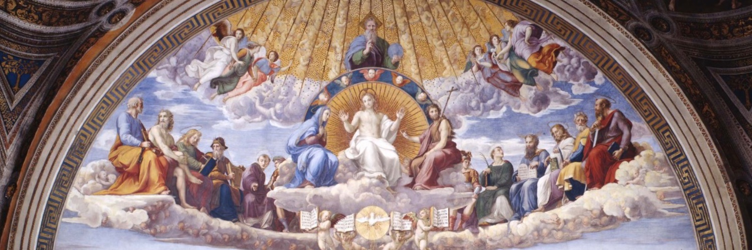 Arcivescovo Carlo Maria Viganò's banner