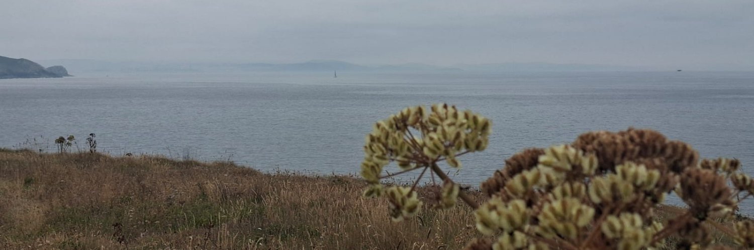 lucyparada_'s profile banner image