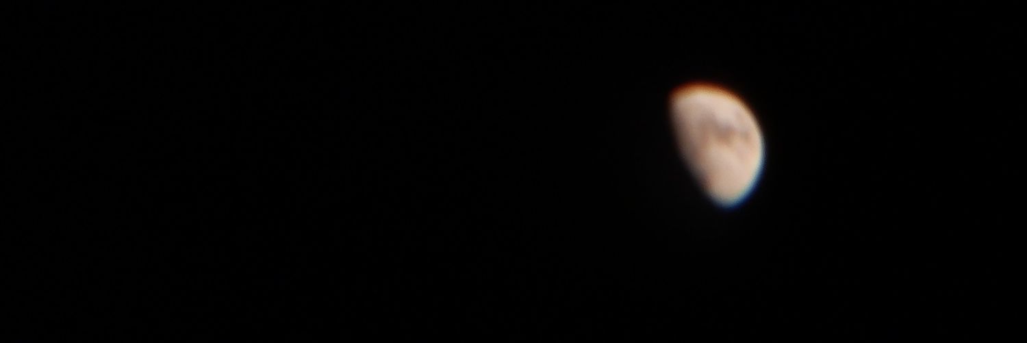 toni.12d banner