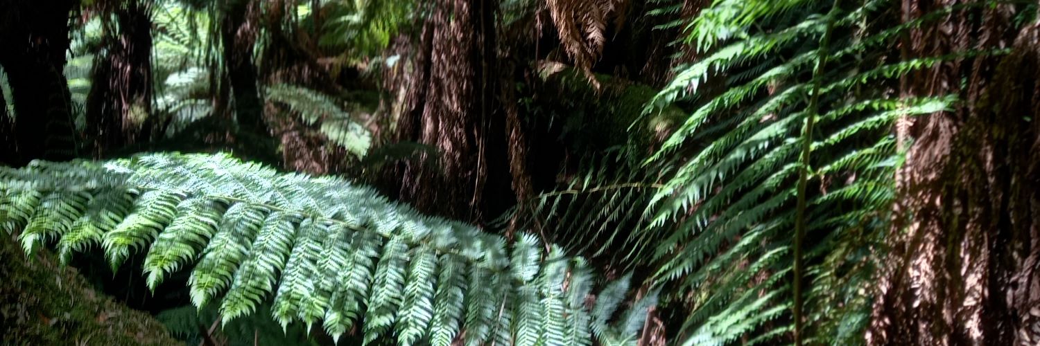 Mystery Bloggers's banner