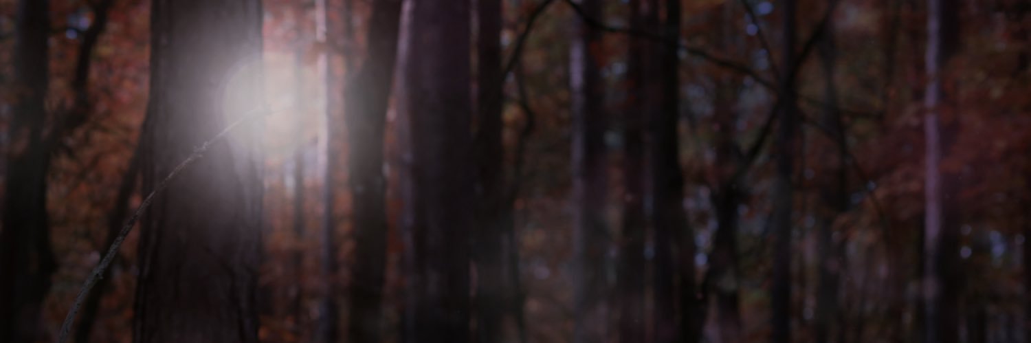 Gâshgûl banner
