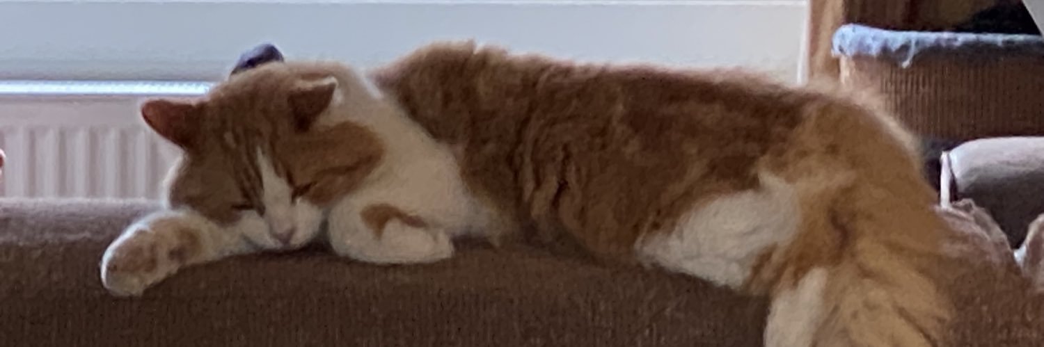 Neasper's banner