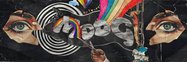 Meerdoges Profile Banner