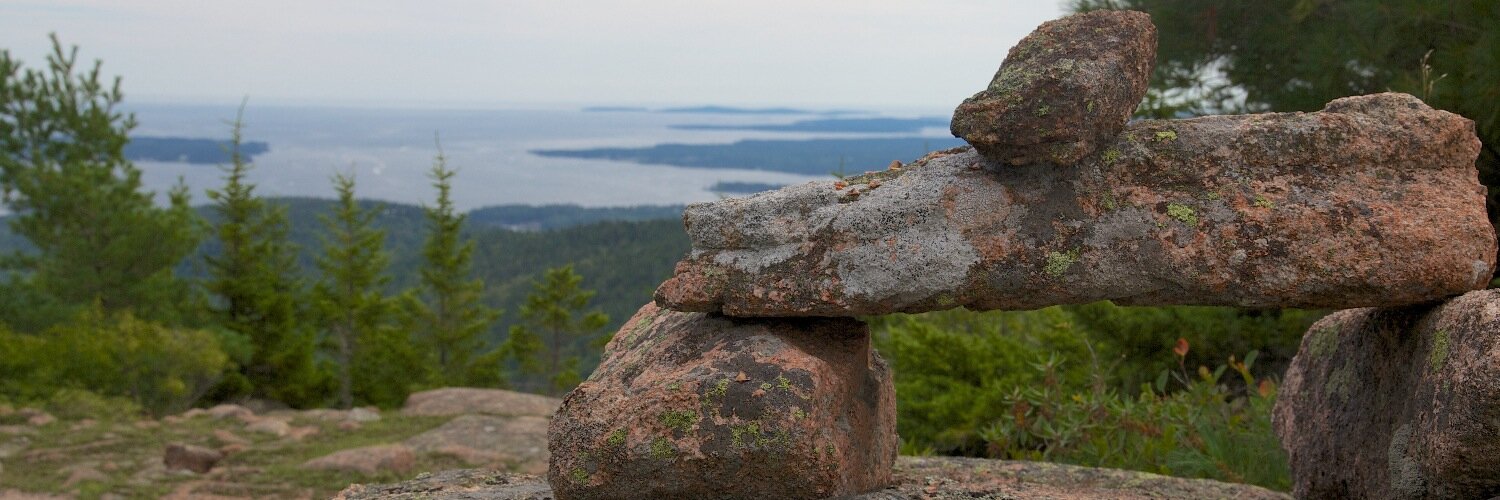 Martin Fowler banner