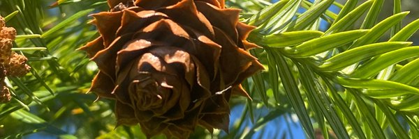 MiaG_03 Profile Banner