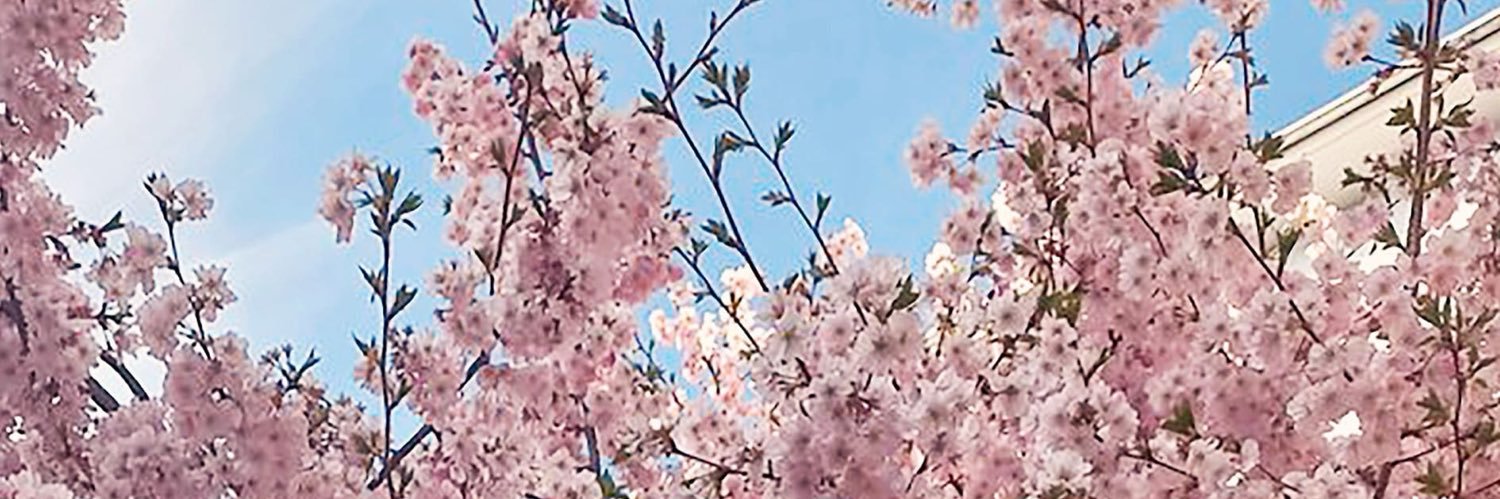 tsubaki_o's profile banner image