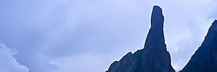 Alexandre jr banner