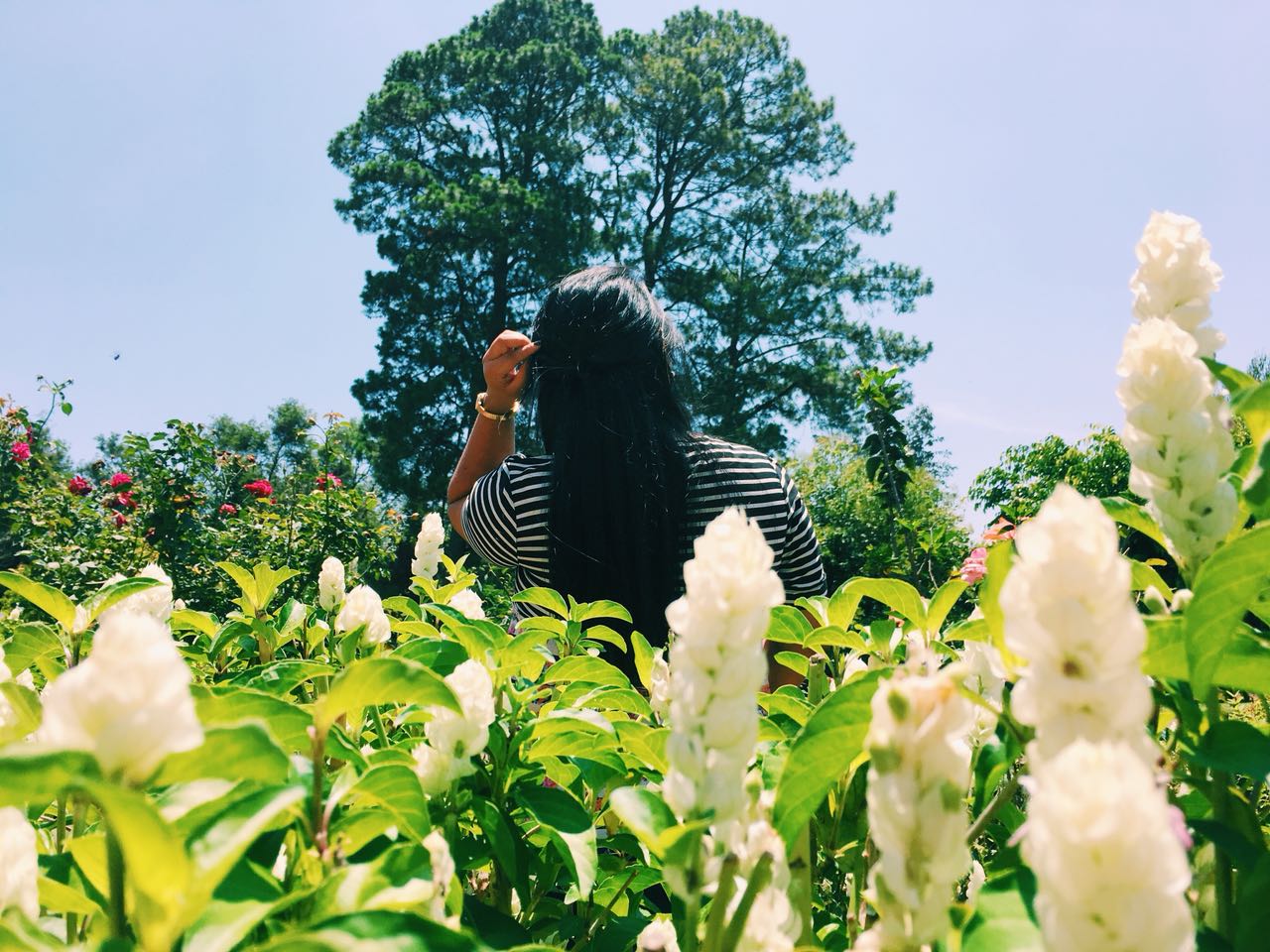 KeKe_LoGa's profile banner image