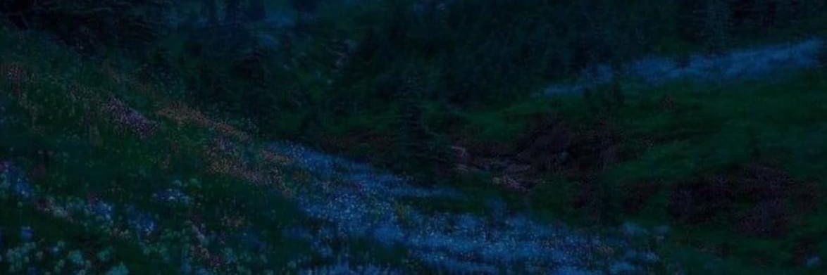 Enzeelo's profile banner image