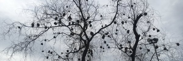 Joshadeyemi Profile Banner