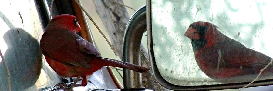 maybend's profile banner image