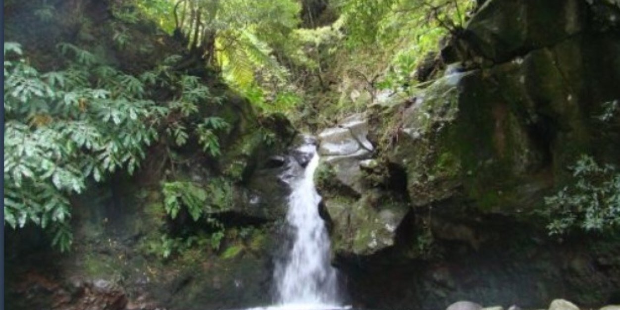 ❀ follow @metvllica❀ banner