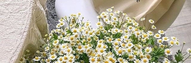 johabmz's profile banner image