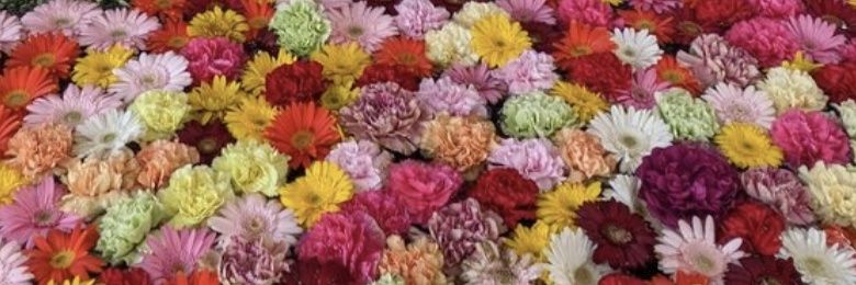 れい ⍤⃝ヒトリゴト banner