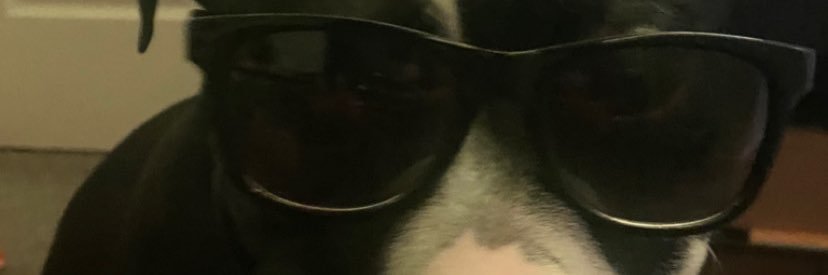 selamallama's profile banner image