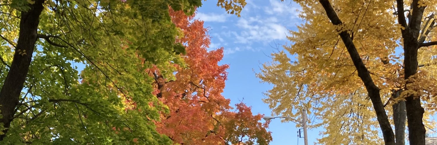JW198's profile banner image