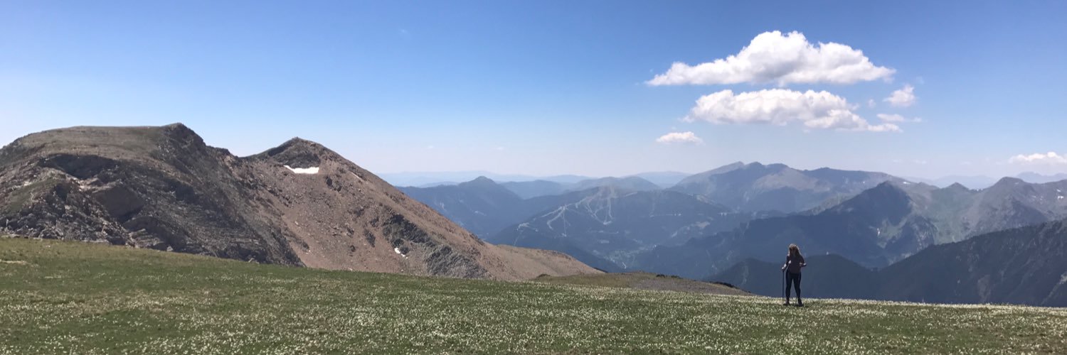 avetverd's profile banner image