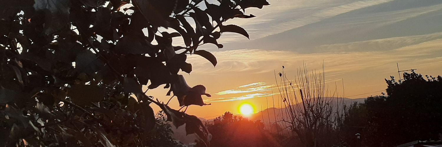 Pcarilla's profile banner image