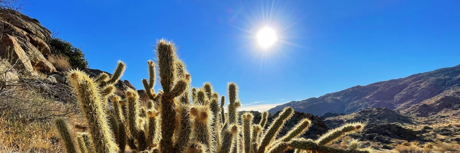 Highdesertdweller banner