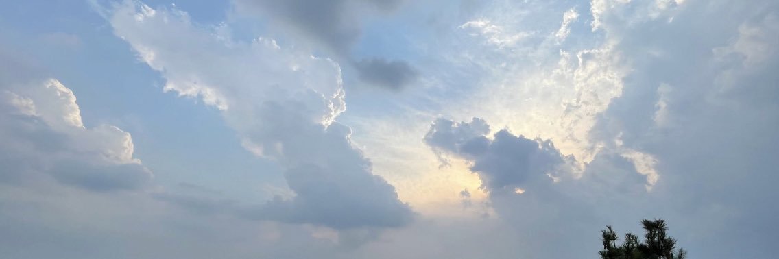 sagebasilmint's profile banner image