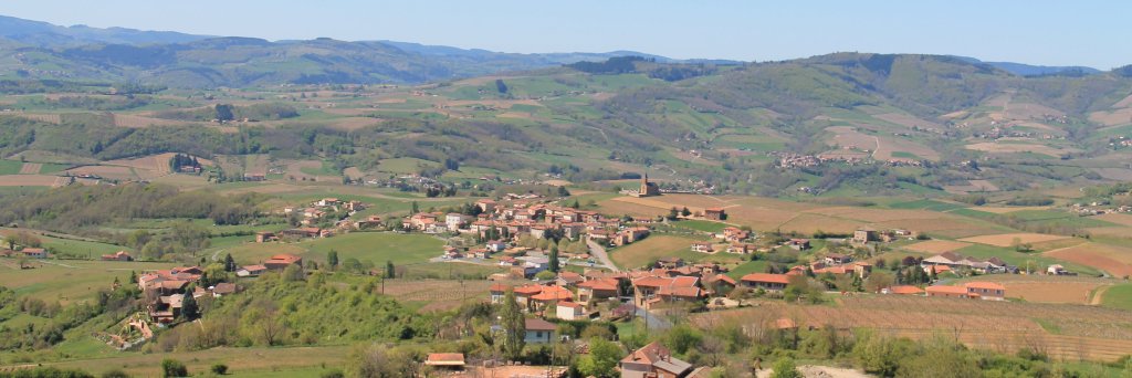 Julie Simpson banner