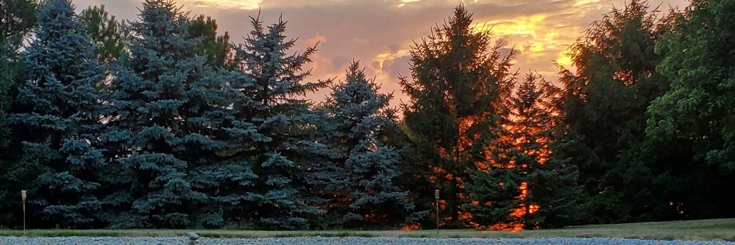 TGeiser's profile banner image