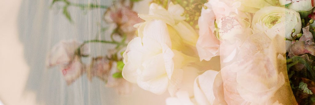 Sweet Root Village banner