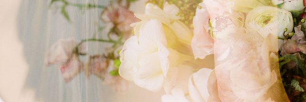 SweetRootVill Profile Banner