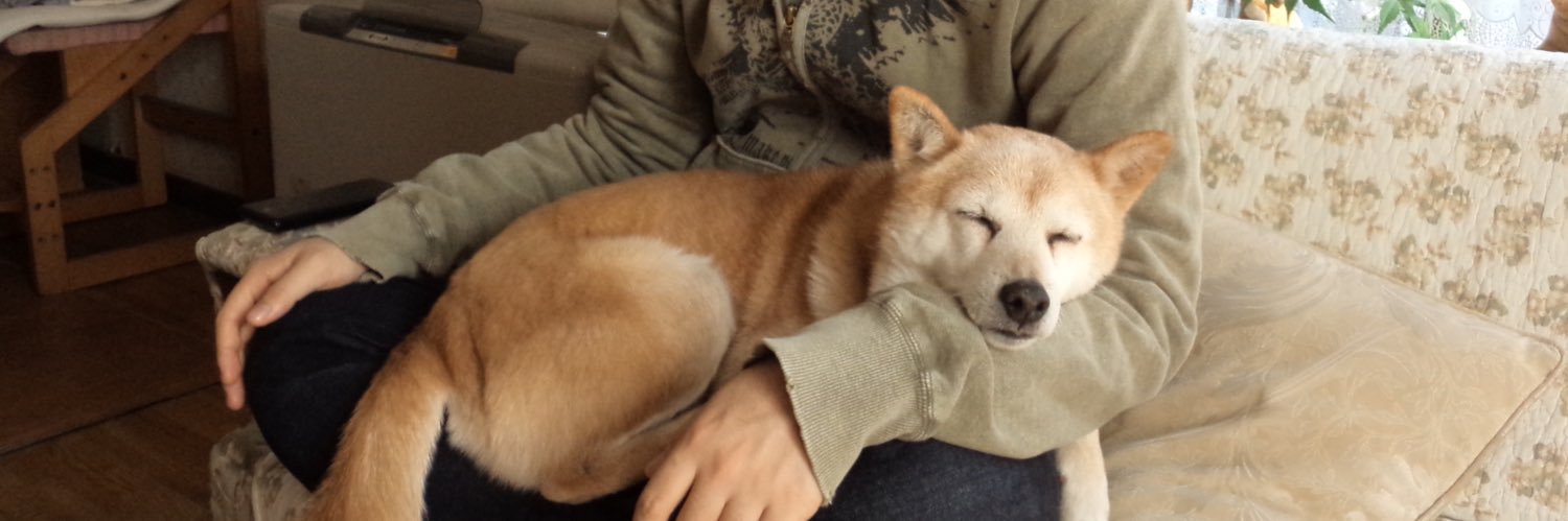 TrickerJug's profile banner image