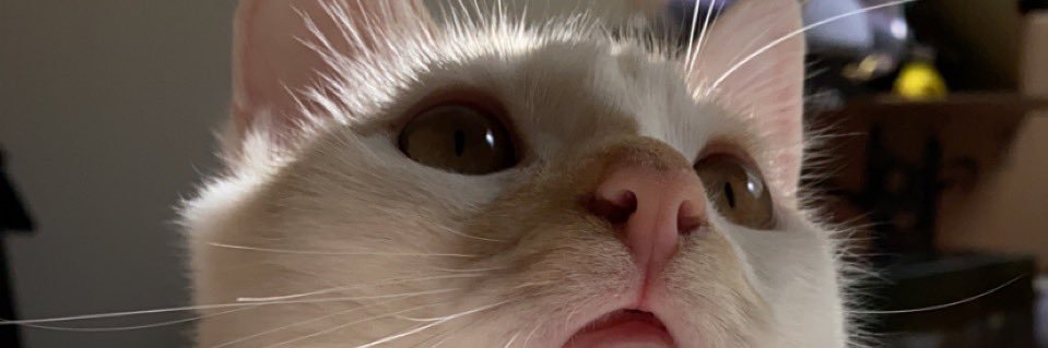 dawnatelloo's profile banner image