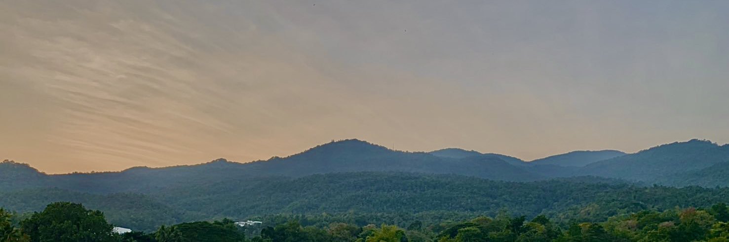 thongsawatdee's profile banner image