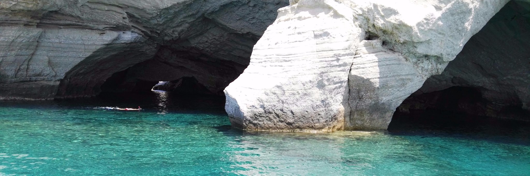 FREE THEM ALL 🇵🇸 🌾 banner