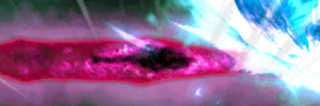 dashedokkan's profile banner image
