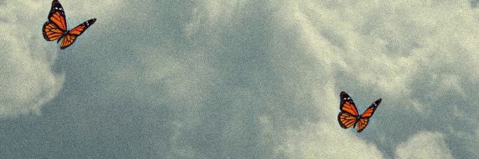 prettyedisni's profile banner image