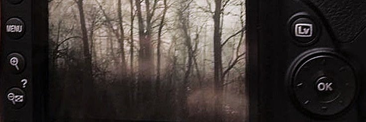 renn. banner