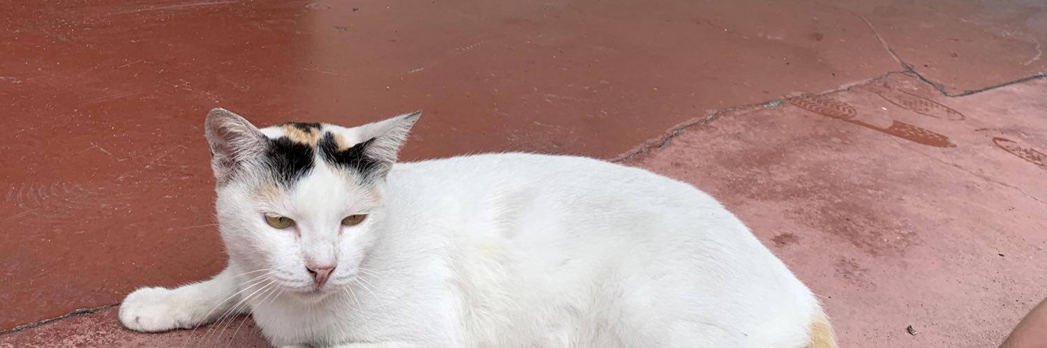 Sabbiehhh's profile banner image