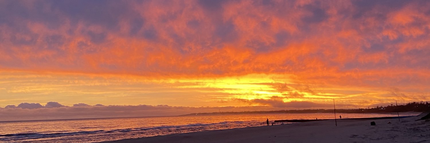 tnoseda's profile banner image