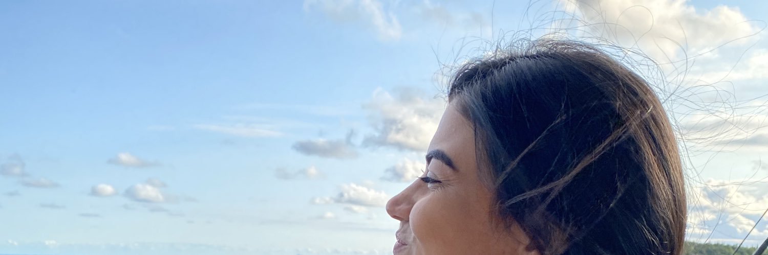 fluflumaster's profile banner image