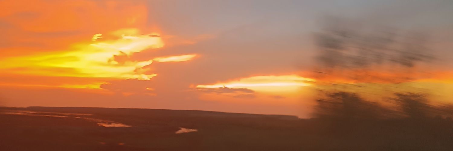 margarauch's profile banner image