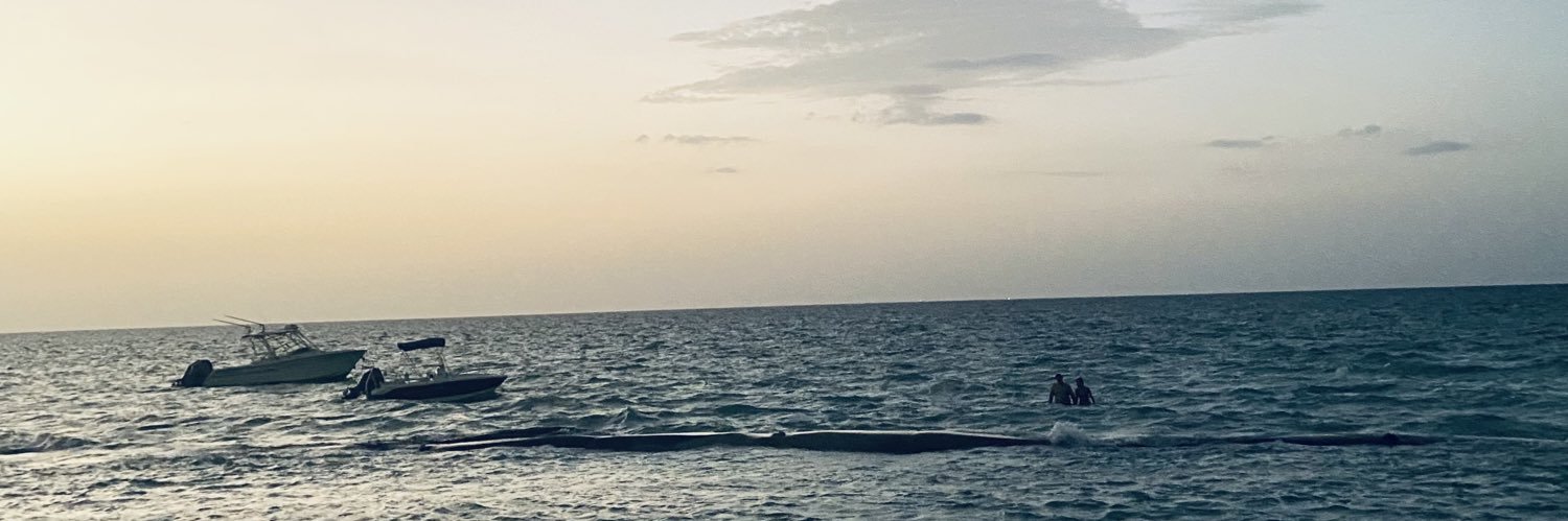 collinscgc's profile banner image