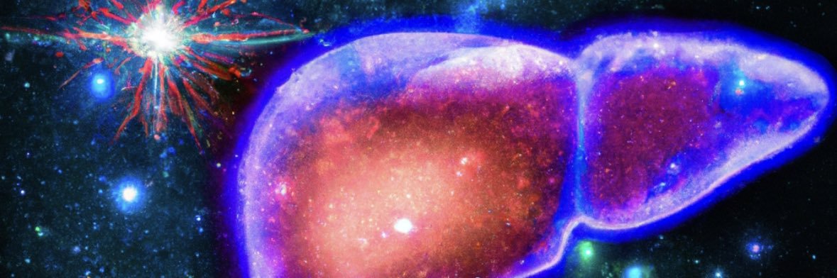 LiverHealthPOD banner