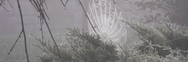 rickcomp52 Profile Banner