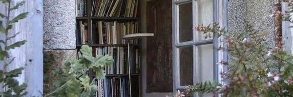 sunmorngs Profile Banner