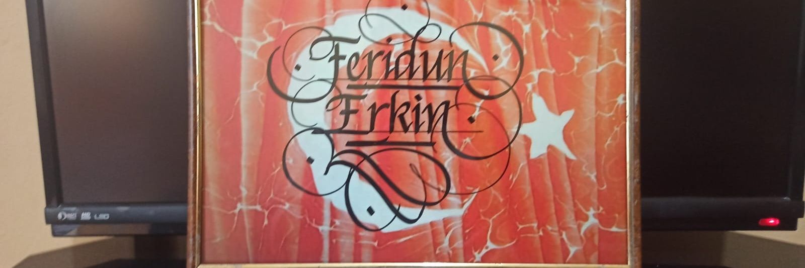 Feridunerkin's profile banner image