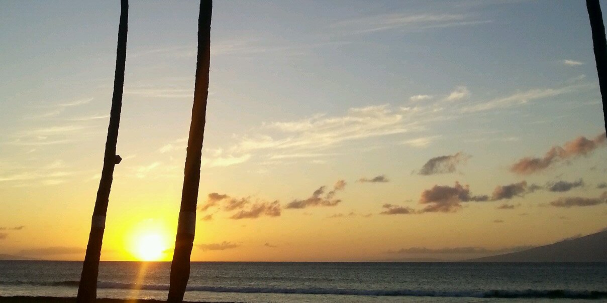 StephStruble4's profile banner image