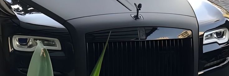Bandz 🇩🇪 (dev arc) banner