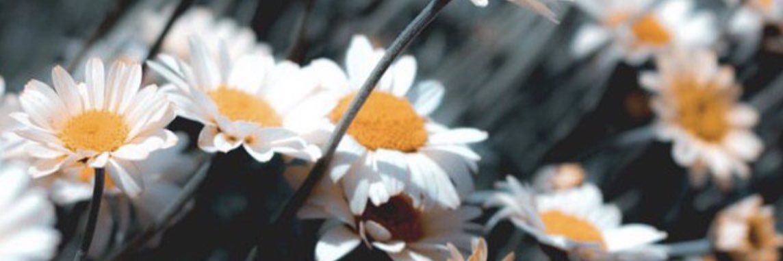 aml141455's profile banner image